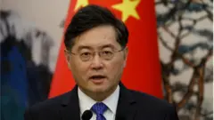 秦剛