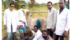 ሓካይም ምስታ ላሕሚ