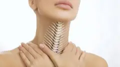 aworan egungun ni ọna ọfun