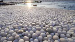 Risto Mattila registrou o fenômeno dos 'ovos de gelo' na ilha de Hailuoto no domingo