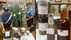 Polisi yasanze ibihingwa bibiri binini by'urumogi ndetse n'uburozi bwa 'Indian hemp' mu rugo rwa Carmelo Chiaramonte