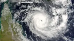 વાવાઝોડું