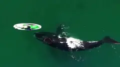 ह्वेलसँग जम्काभेट