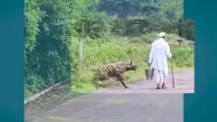 హైనా దాడి