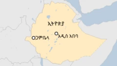 ካርታ