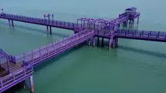 Фиолетовые инста-острова в Южной Корее