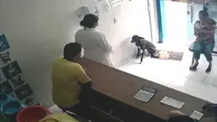 كلب ضال أخذ نفسه للطبيب للعلاج