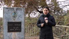 Aygül Mehman