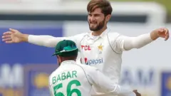 شاہین