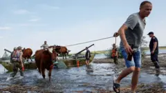 затоплення