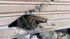 پنجگور