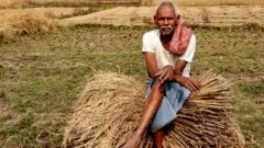 बिहार