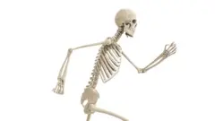 هيكل عظمي يركص