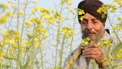 ਬਜਟ