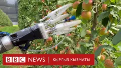 Робот