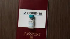 Vaccine passport