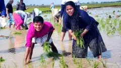వరి నాట్లు వేస్తున్న ప్రకాశం జిల్లా కలెక్టర్ దినేశ్ కుమార్, ఆయన భార్య బాపట్ల జిల్లా కలెక్టర్ విజయ కృష్ణన్