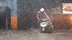 गाडी