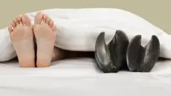 மிருகங்களுடன் மனிதர்கள் பாலியல் உறவு கொள்வதேன்?