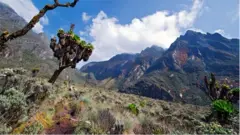 Autrefois considérées comme la source du Nil, les montagnes Rwenzori en Ouganda ont été baptisées "Montagnes de la Lune" par Ptolémée