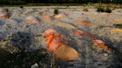 Ганг дарёси соҳили