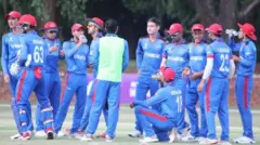 کرېکټ