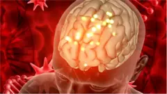 મગજ