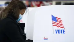 Выборы в США