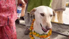 ਕਿਸਾਨਾਂ ਦਾ ਸਾਥੀ ਬਣਿਆ ਇਹ ‘ਯਾਤਰੀ’