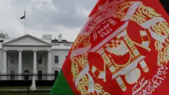 ارمیکا