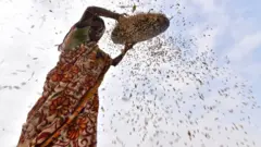 விவசாயம்