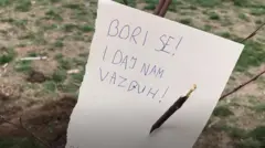 Seča drveća Ušće