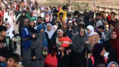 ғазоликлар