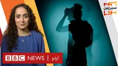 سیربین
