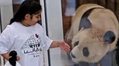 panda u kataru