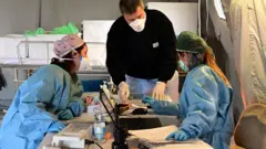 Дарыгерлер