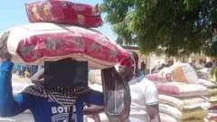 Bags of rice