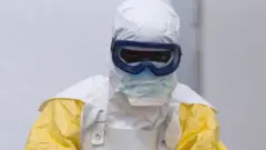 An Ebola worker in Guinea - archive