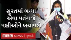 સુરતમાં પતંગની ડિઝાઇન બદલી પક્ષીઓને બચાવવાનો પ્રયાસ