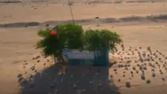 कुवैत