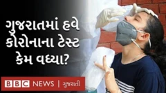 ગુજરાત ટેસ્ટિંગ