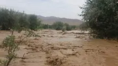 وردګو کې سېلاب