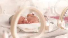 beba u inkubatoru