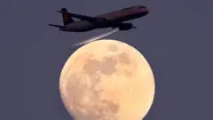 هواپیما