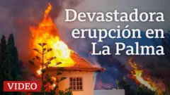 Devastadora erupción en La Palma