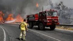 Türkiye'deki yangın felaketini yakından izleyen ülkelerin arasında bulunan Yunanistan, Türkiye'ye itfaiye uçağı göndermeye hazır olduklarını, ancak buna olumlu bir yanıt alamadıklarını belirtti. Yunan hükümeti, ülkede çıkan yangınlara rağmen Türkiye'den talep geldiği anda Yunan itfaiye ve kurtarma birimlerinin yardıma gönderilmesi teklifinin halen geçerli olduğunu açıkladı.
