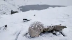 Restos en el lago de los esqueletos.