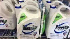 Roundup weedkiller at a home improvement store.
