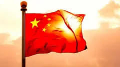 Hong Kong protests: China flag