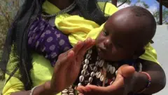 ቦረና